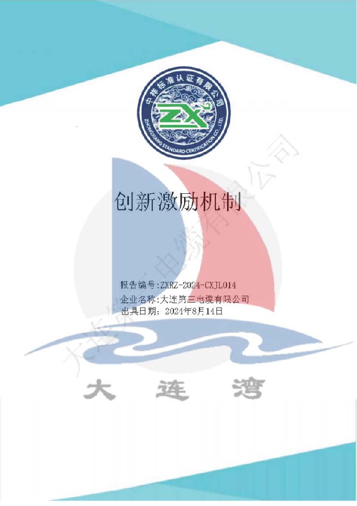 大連91成人版電纜有限公司創新激勵機製報告_頁麵_011.jpg