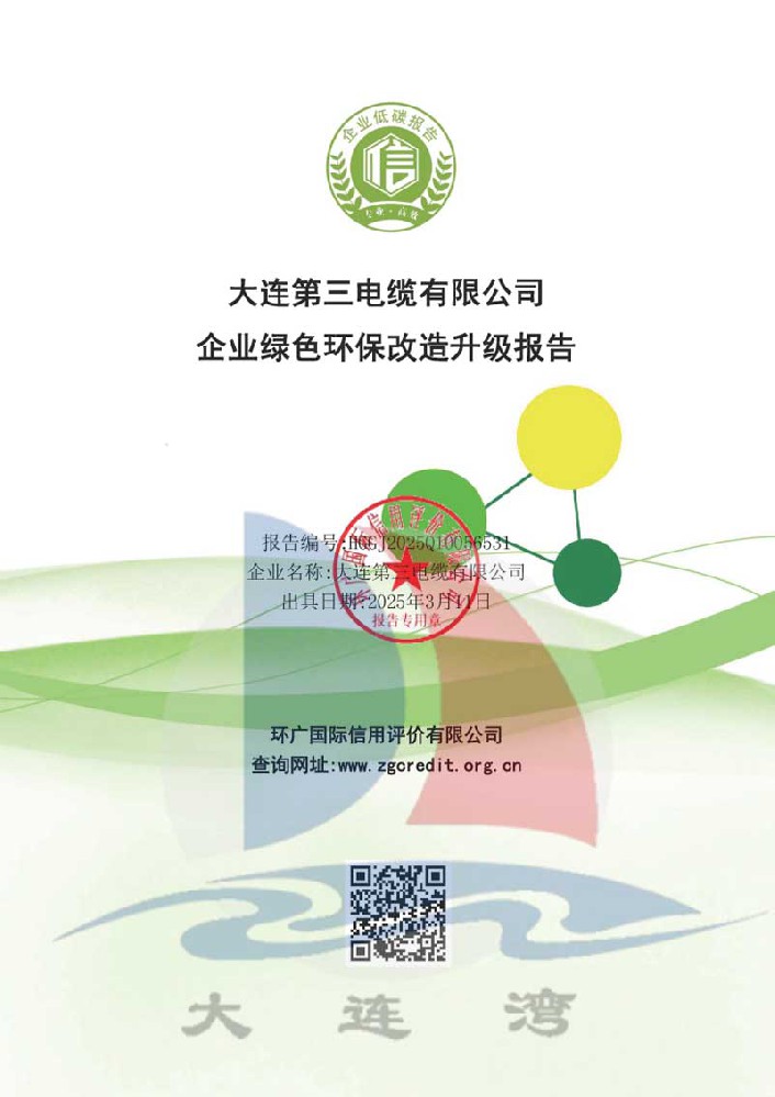 大連91成人版電（diàn）纜有限公司-綠色環保改造升級_頁麵_011.jpg