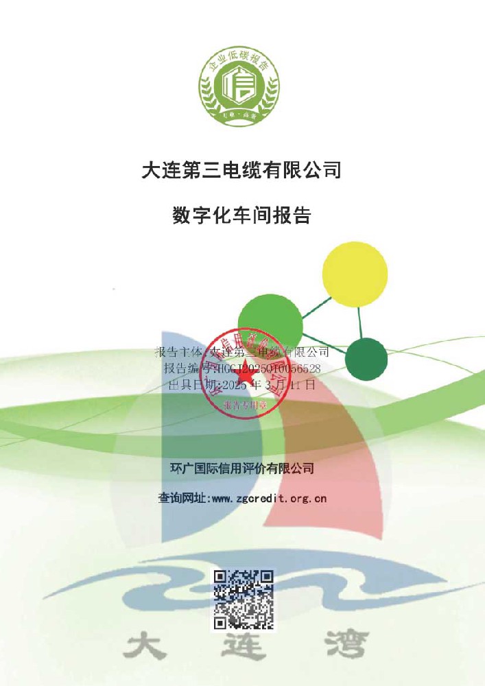 大連91成人版電纜有限公司-數字化車間報告_頁麵_011.jpg
