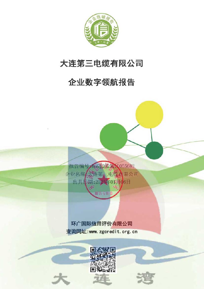 大連91成人版電纜有限公司-數字（zì）領航企業評價報告（gào）_頁麵_011.jpg